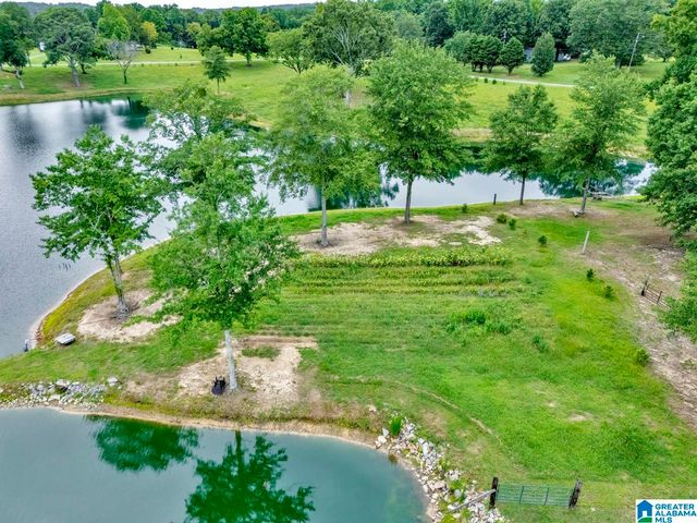816 JIM THOMAS ROAD, Hayden, AL 35079