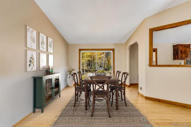 133 Foxtail Court, Fairplay, CO 80440