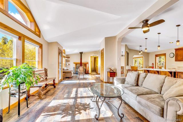 133 Foxtail Court, Fairplay, CO 80440