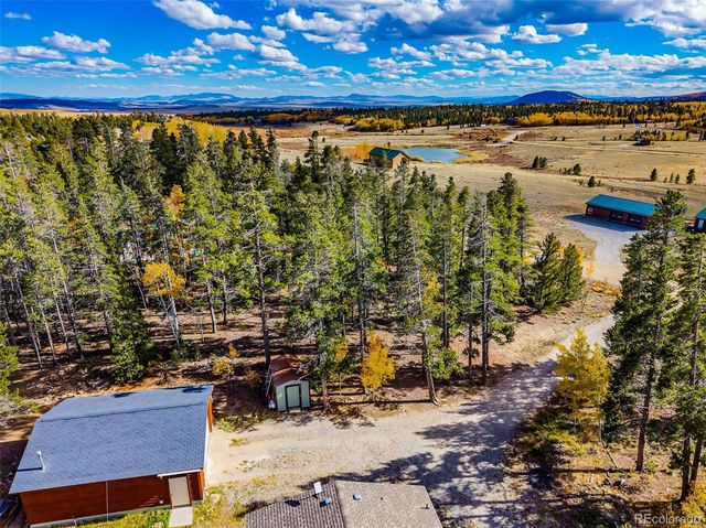 133 Foxtail Court, Fairplay, CO 80440