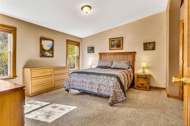 133 Foxtail Court, Fairplay, CO 80440