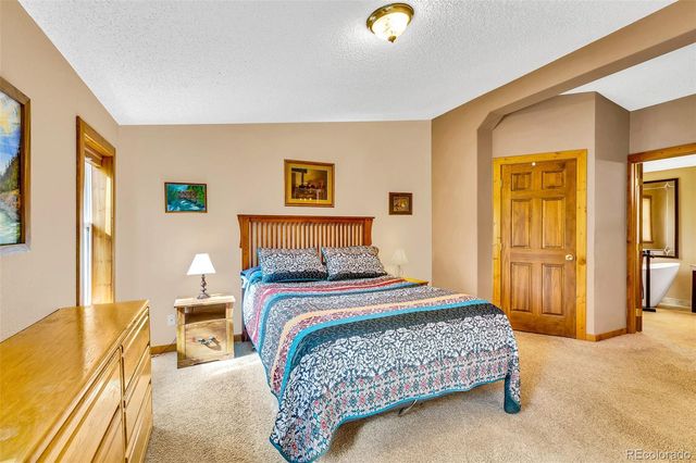 133 Foxtail Court, Fairplay, CO 80440