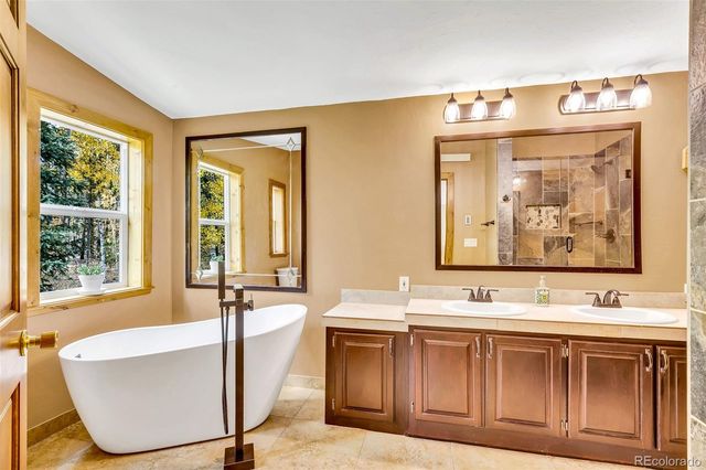 133 Foxtail Court, Fairplay, CO 80440