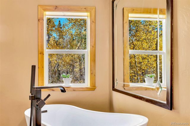 133 Foxtail Court, Fairplay, CO 80440