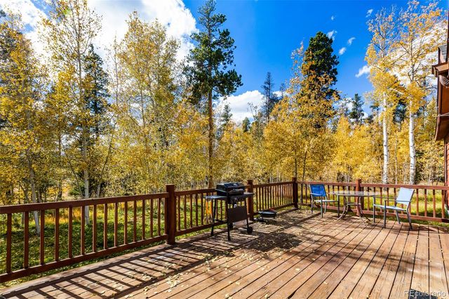 133 Foxtail Court, Fairplay, CO 80440