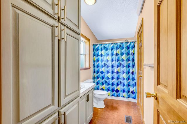 133 Foxtail Court, Fairplay, CO 80440