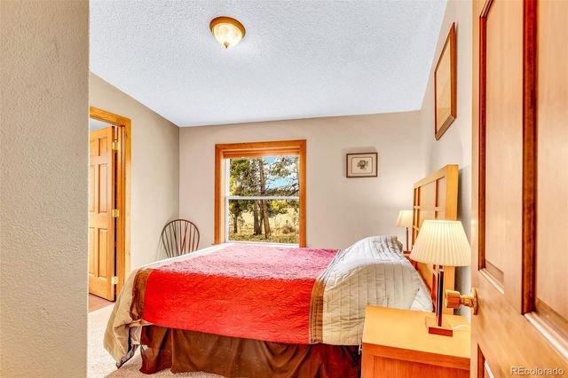 133 Foxtail Court, Fairplay, CO 80440