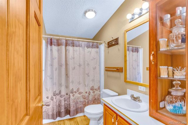 133 Foxtail Court, Fairplay, CO 80440