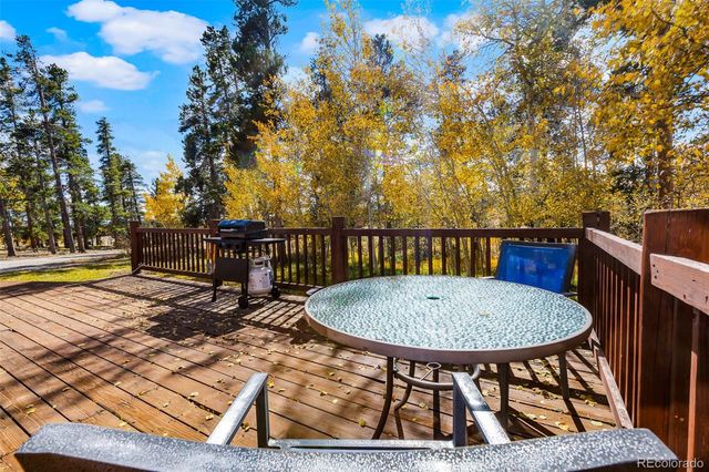 133 Foxtail Court, Fairplay, CO 80440