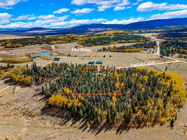 133 Foxtail Court, Fairplay, CO 80440