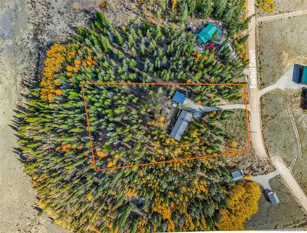 133 Foxtail Court, Fairplay, CO 80440