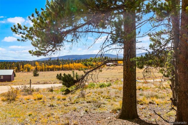 133 Foxtail Court, Fairplay, CO 80440