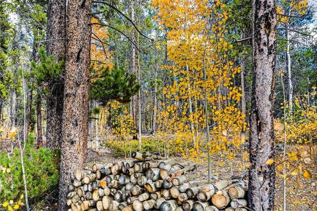 133 Foxtail Court, Fairplay, CO 80440