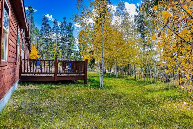 133 Foxtail Court, Fairplay, CO 80440