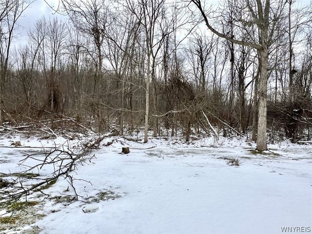 464 Jim Kelly Drive, Lockport Town, NY 14094