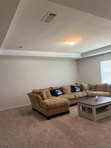 14602 Jasper Stream Court, Houston, TX 77069