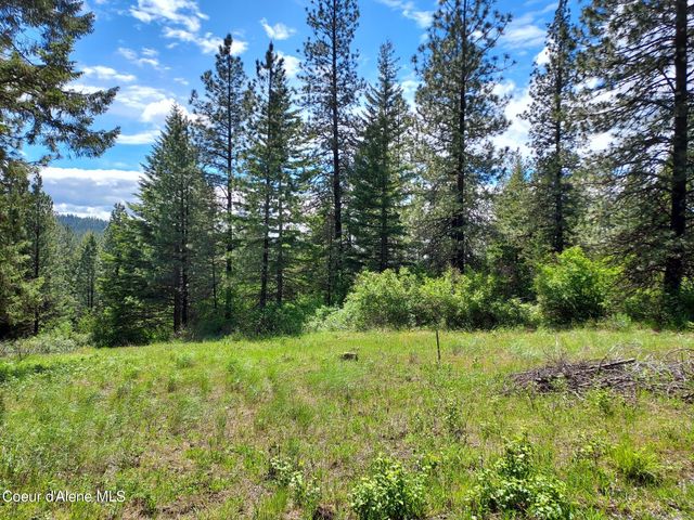 NKA E CANTON LN, Harrison, ID 83833