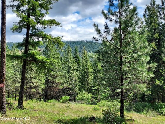 NKA E CANTON LN, Harrison, ID 83833