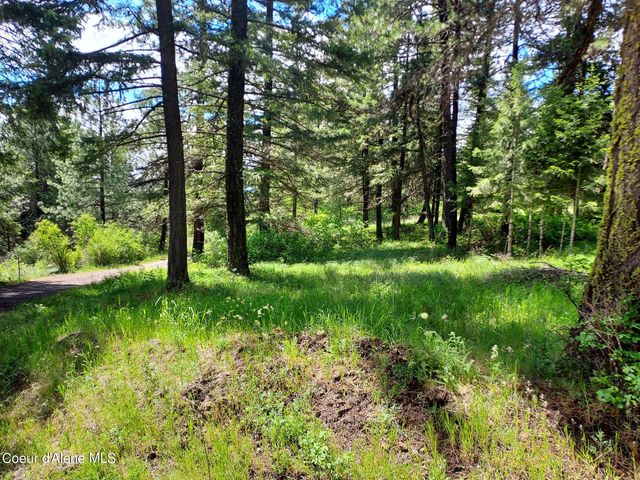 NKA E CANTON LN, Harrison, ID 83833