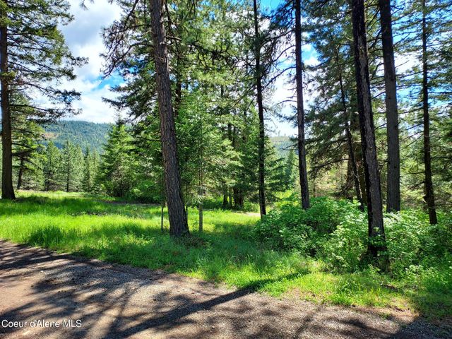 NKA E CANTON LN, Harrison, ID 83833