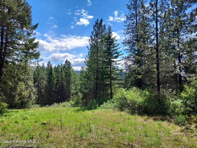 NKA E CANTON LN, Harrison, ID 83833