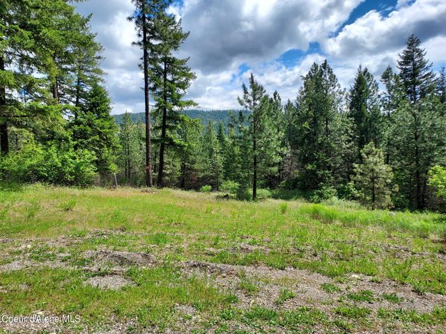 NKA E CANTON LN, Harrison, ID 83833