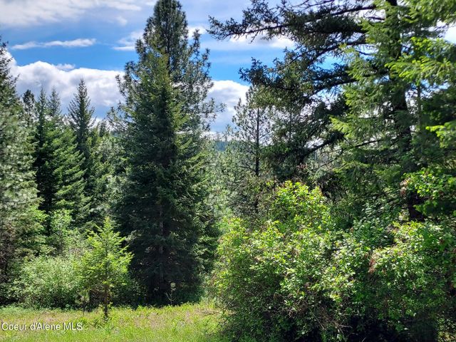 NKA E CANTON LN, Harrison, ID 83833