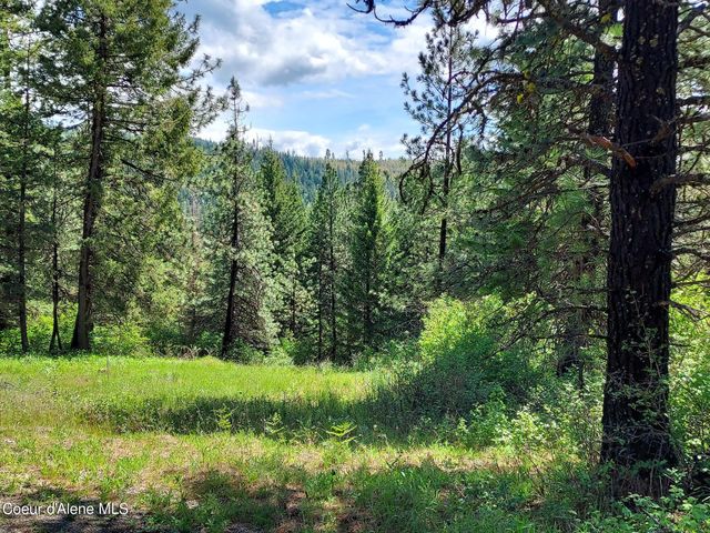 NKA E CANTON LN, Harrison, ID 83833