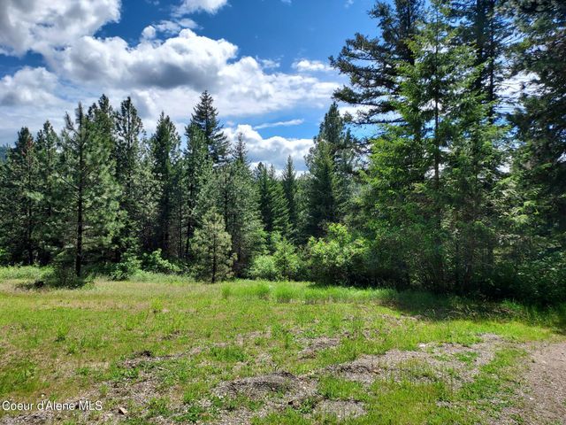 NKA E CANTON LN, Harrison, ID 83833