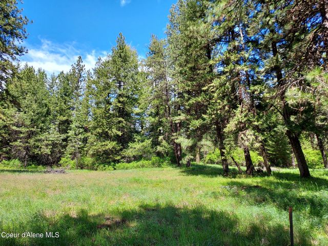 NKA E CANTON LN, Harrison, ID 83833