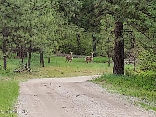 NKA E CANTON LN, Harrison, ID 83833