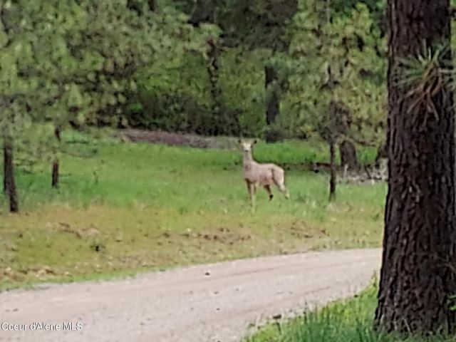 NKA E CANTON LN, Harrison, ID 83833