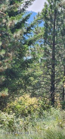 NKA E CANTON LN, Harrison, ID 83833