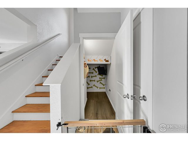 811 Elias Tarn Dr, Severance, CO 80550