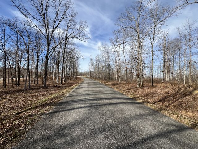 1 Slaughter Rd, Primm Springs, TN 38476