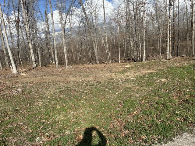 1 Slaughter Rd, Primm Springs, TN 38476