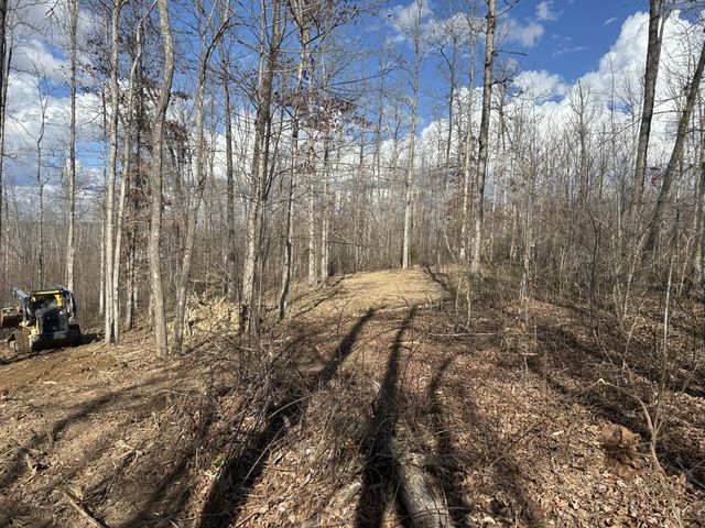 1 Slaughter Rd, Primm Springs, TN 38476