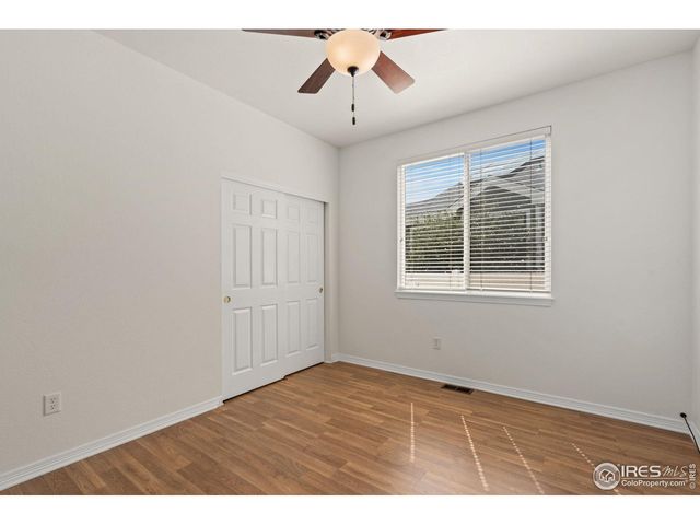 232 Cattail Bay Ct, Windsor, CO 80550