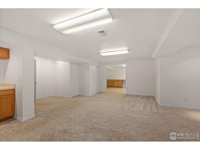 232 Cattail Bay Ct, Windsor, CO 80550