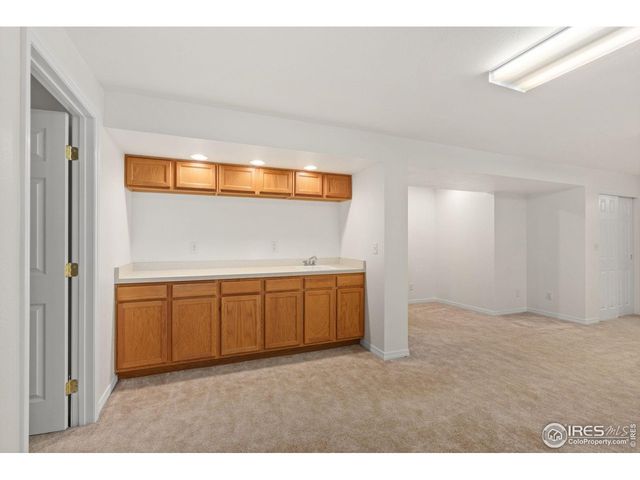 232 Cattail Bay Ct, Windsor, CO 80550