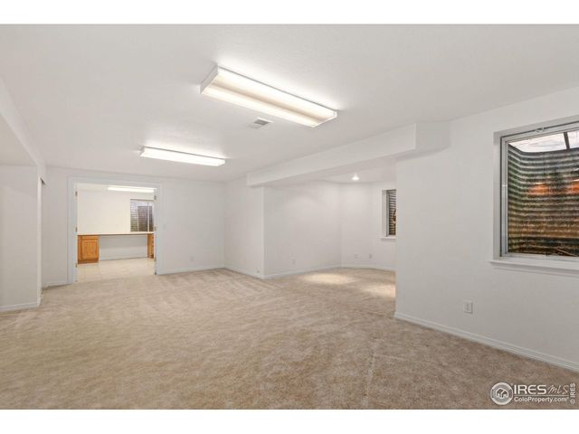 232 Cattail Bay Ct, Windsor, CO 80550