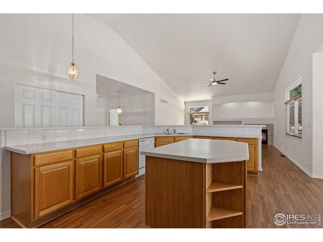 232 Cattail Bay Ct, Windsor, CO 80550