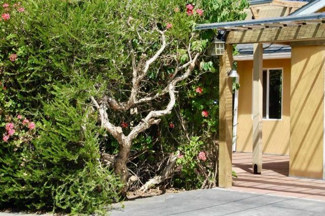 736 Mar Vista Drive, Vista, CA 92081