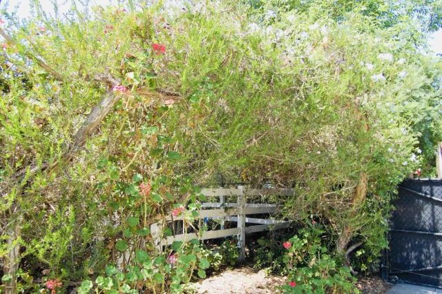 736 Mar Vista Drive, Vista, CA 92081