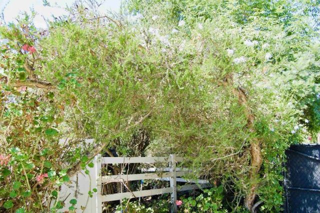 736 Mar Vista Drive, Vista, CA 92081