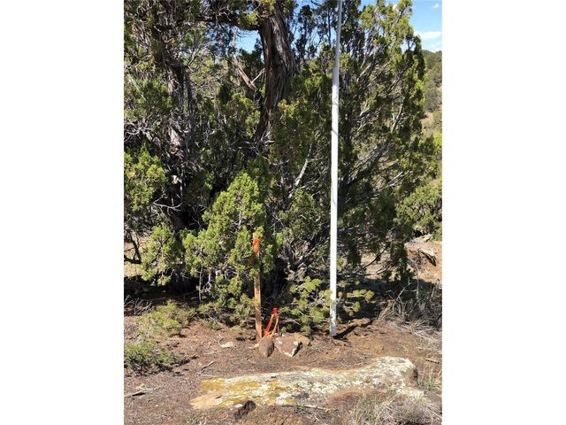 898 Rio Cucharas Phs 3, Walsenburg, CO 81089