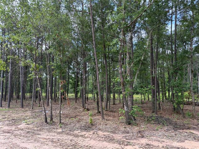 13652 Armstrong Street, Conroe, TX 77303