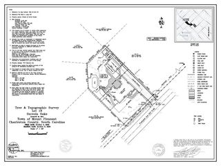 734 Powhatan Avenue, Mount Pleasant, SC 29464