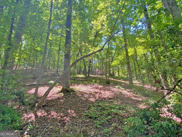 0 Hickory Nut Trail, Dahlonega, GA 30533