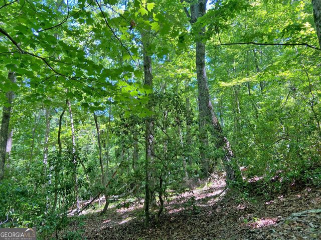 0 Hickory Nut Trail, Dahlonega, GA 30533